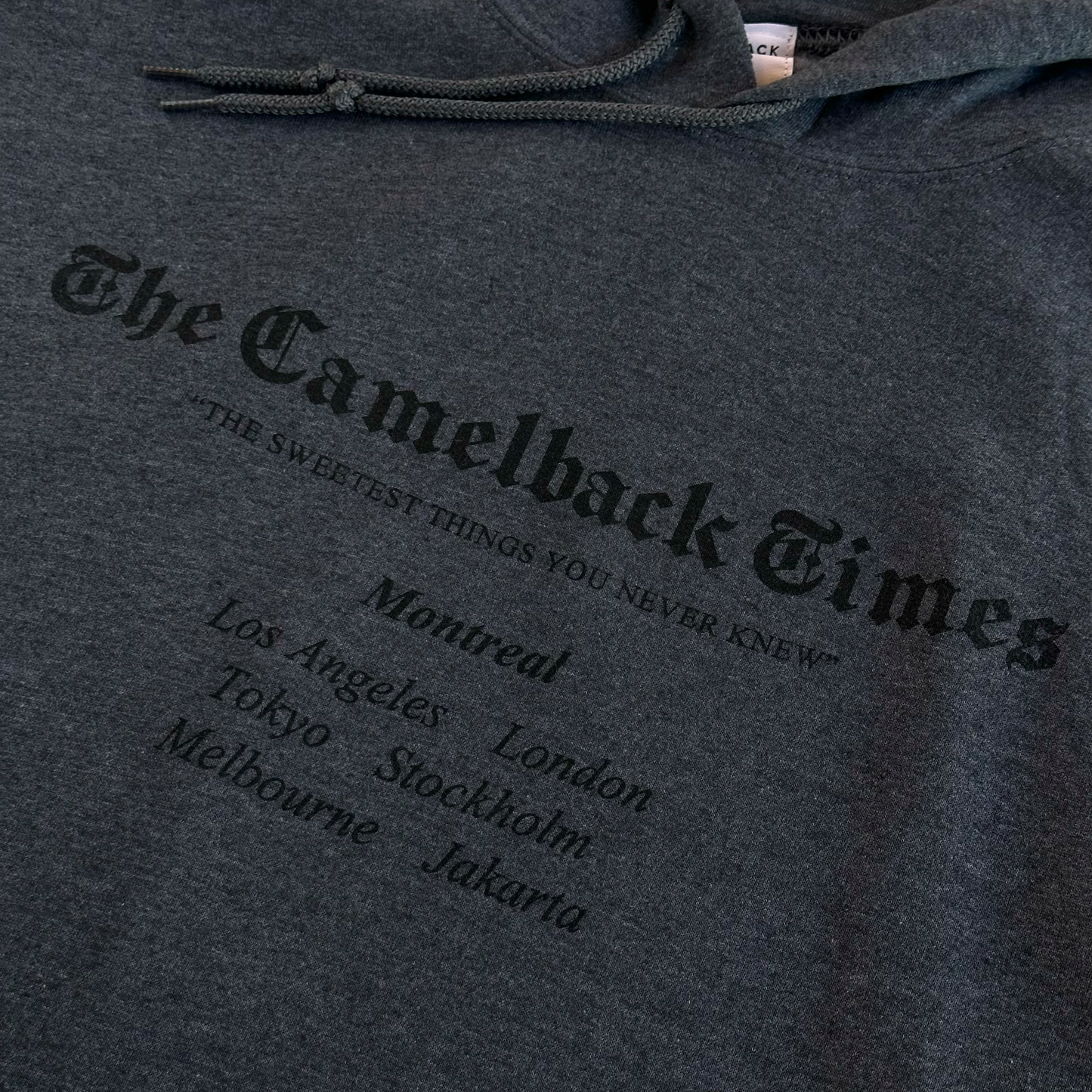 The Camelback Times Hoodie