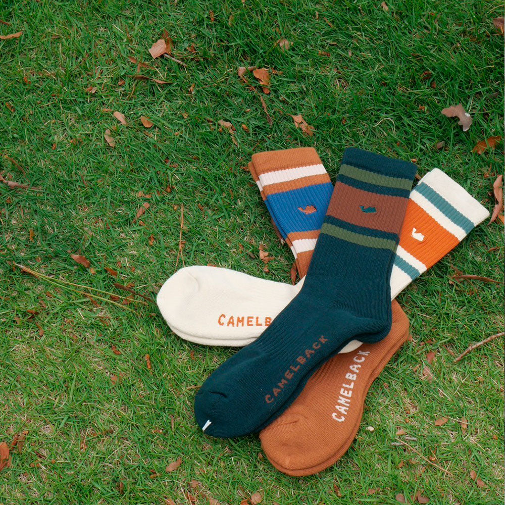 Line Socks ‐ Dark Green × Brown