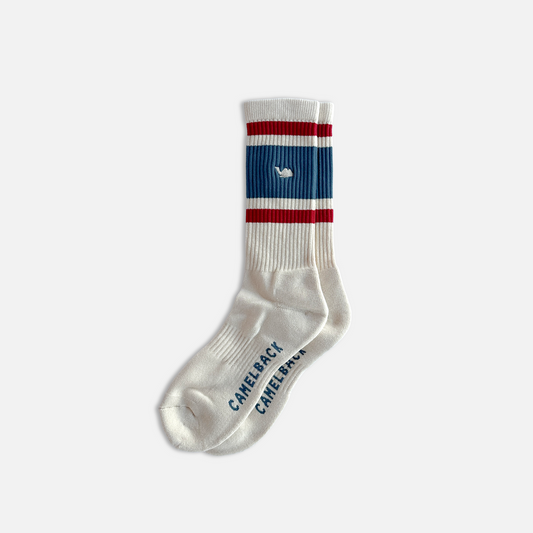 Line Socks - Ivory × Blue Gray